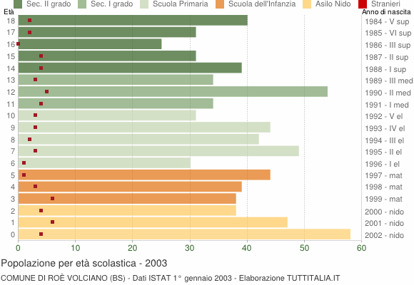 Grafico Popolazione in età scolastica - Roè Volciano 2003