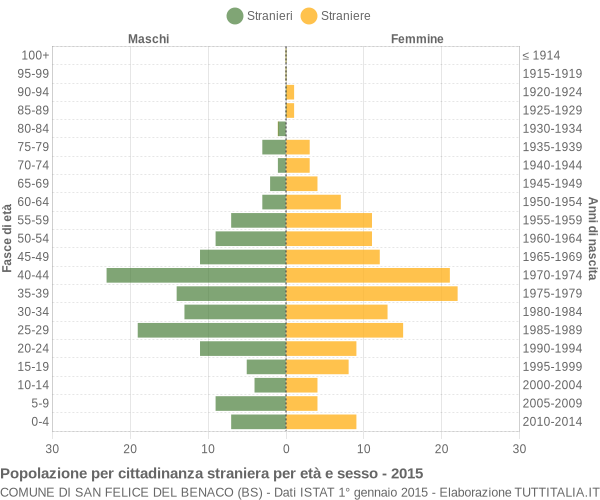 Grafico cittadini stranieri - San Felice del Benaco 2015