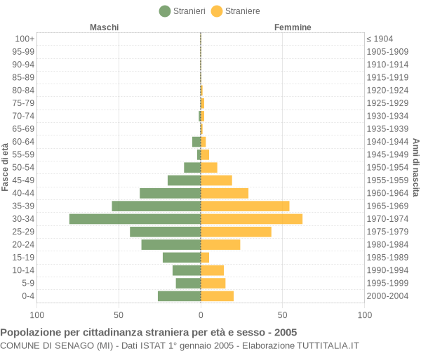 Grafico cittadini stranieri - Senago 2005