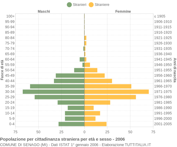 Grafico cittadini stranieri - Senago 2006