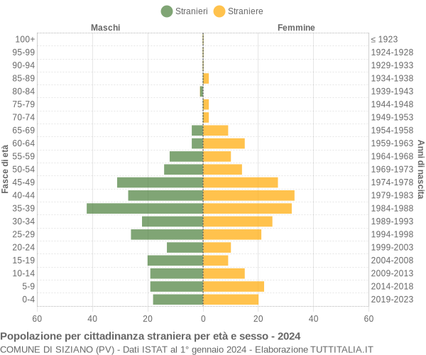 Grafico cittadini stranieri - Siziano 2024