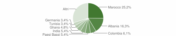 Grafico cittadinanza stranieri - Biandronno 2007