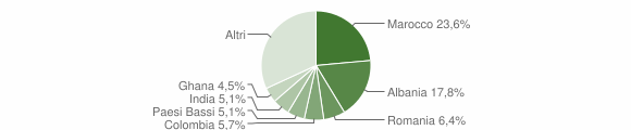 Grafico cittadinanza stranieri - Biandronno 2008