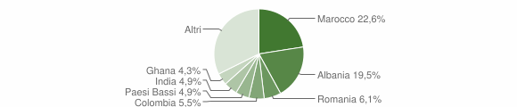 Grafico cittadinanza stranieri - Biandronno 2009