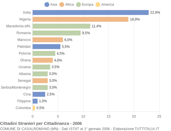 Grafico cittadinanza stranieri - Casalromano 2006