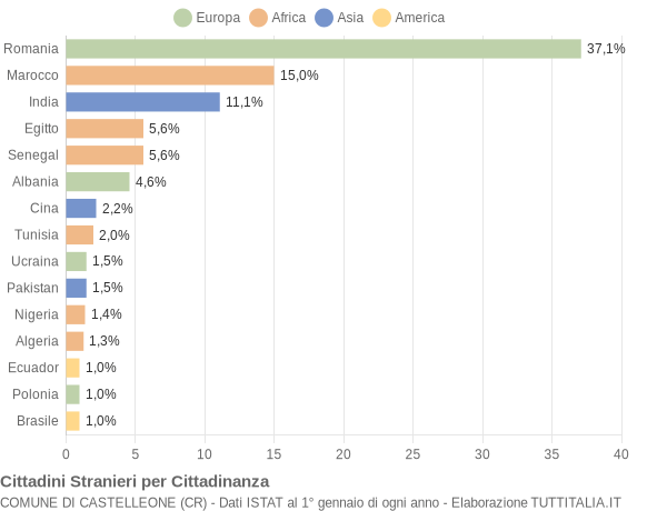 Grafico cittadinanza stranieri - Castelleone 2010
