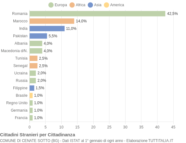 Grafico cittadinanza stranieri - Cenate Sotto 2008