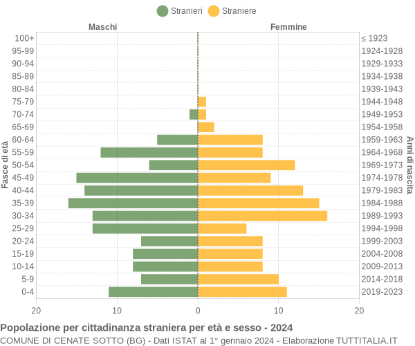 Grafico cittadini stranieri - Cenate Sotto 2024