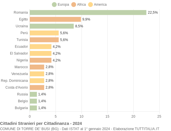 Grafico cittadinanza stranieri - Torre de' Busi 2024