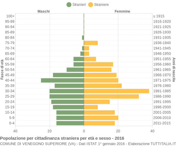 Grafico cittadini stranieri - Venegono Superiore 2016