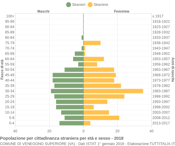 Grafico cittadini stranieri - Venegono Superiore 2018