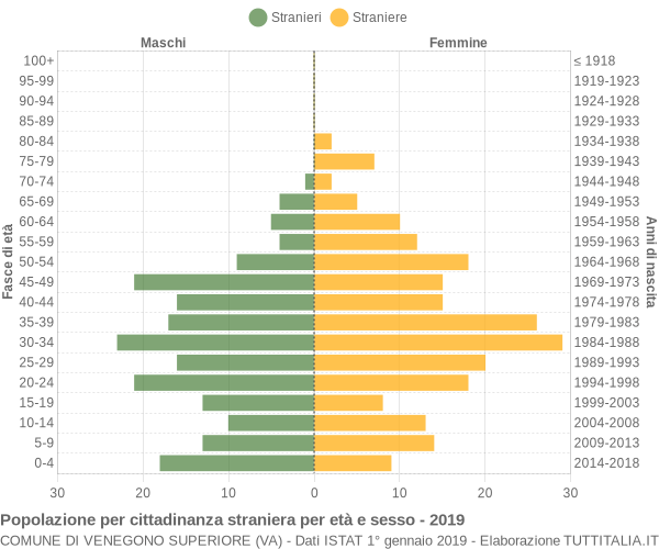 Grafico cittadini stranieri - Venegono Superiore 2019