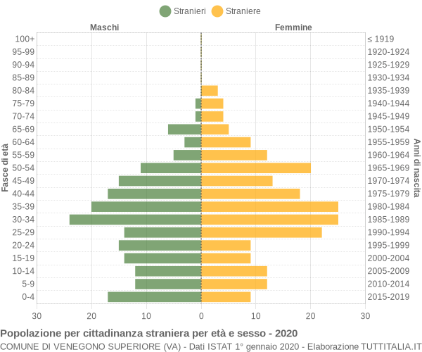 Grafico cittadini stranieri - Venegono Superiore 2020