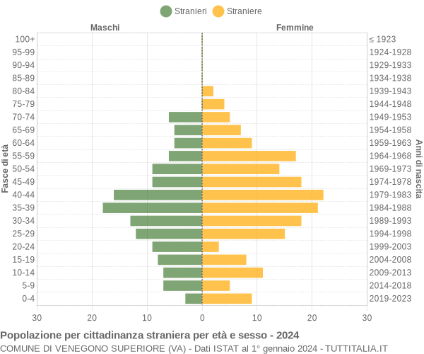 Grafico cittadini stranieri - Venegono Superiore 2024