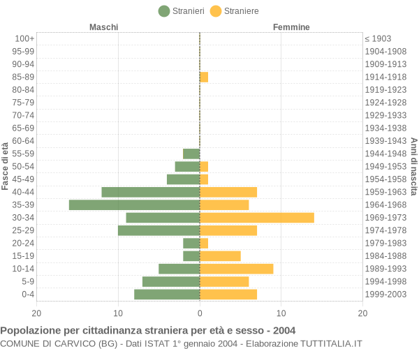 Grafico cittadini stranieri - Carvico 2004