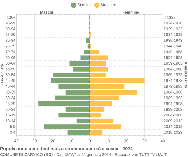 Grafico cittadini stranieri - Carvico 2024