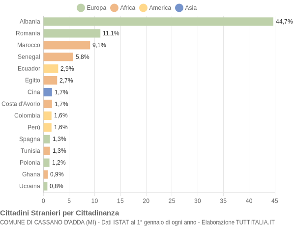 Grafico cittadinanza stranieri - Cassano d'Adda 2004