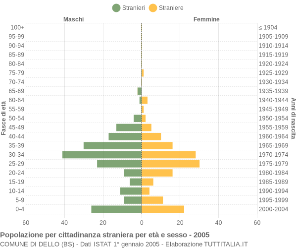 Grafico cittadini stranieri - Dello 2005