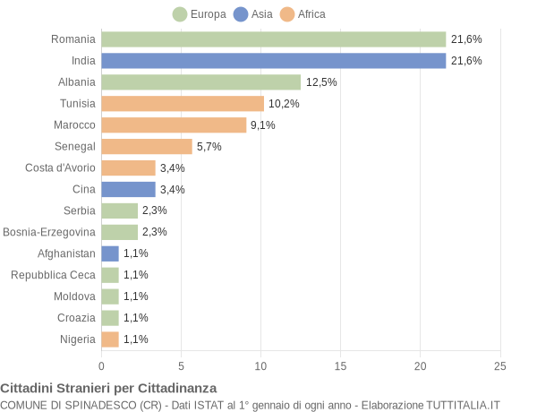 Grafico cittadinanza stranieri - Spinadesco 2011