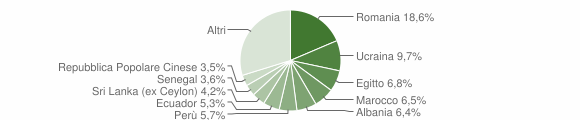 Grafico cittadinanza stranieri - Arcore 2023