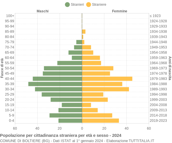 Grafico cittadini stranieri - Boltiere 2024