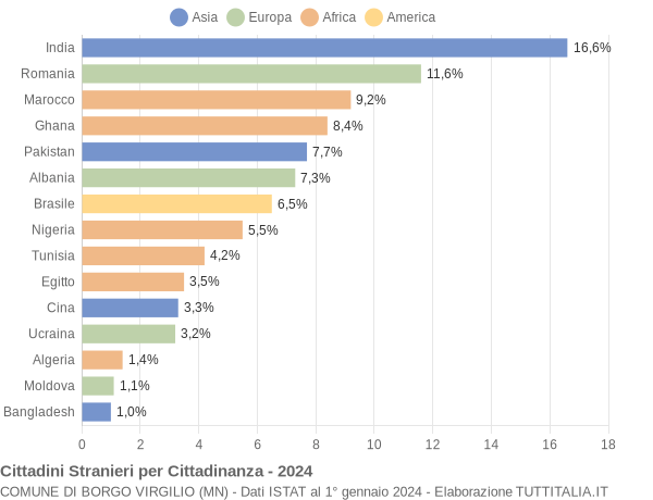 Grafico cittadinanza stranieri - Borgo Virgilio 2024