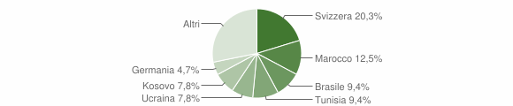 Grafico cittadinanza stranieri - Dumenza 2013