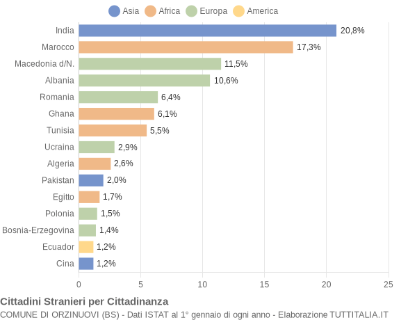 Grafico cittadinanza stranieri - Orzinuovi 2004