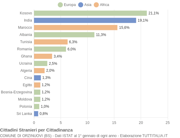 Grafico cittadinanza stranieri - Orzinuovi 2009