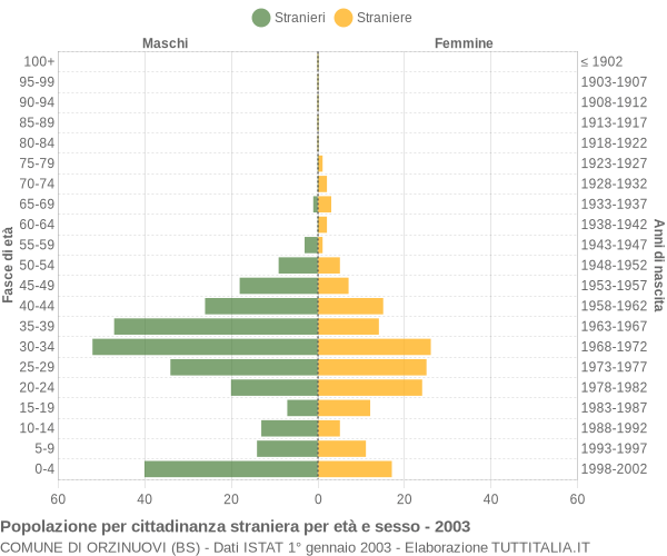 Grafico cittadini stranieri - Orzinuovi 2003