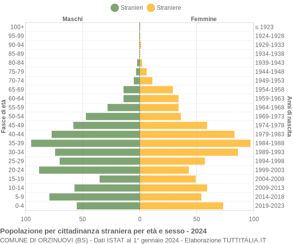 Grafico cittadini stranieri - Orzinuovi 2024