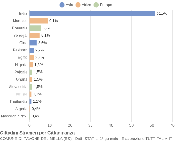 Grafico cittadinanza stranieri - Pavone del Mella 2005