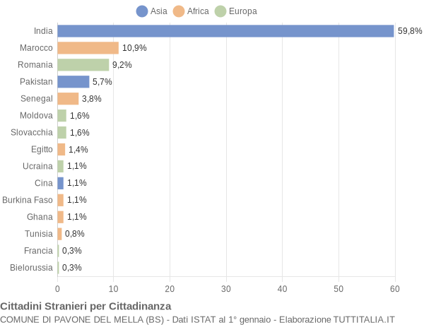 Grafico cittadinanza stranieri - Pavone del Mella 2009