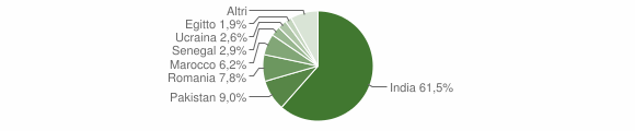 Grafico cittadinanza stranieri - Pavone del Mella 2013