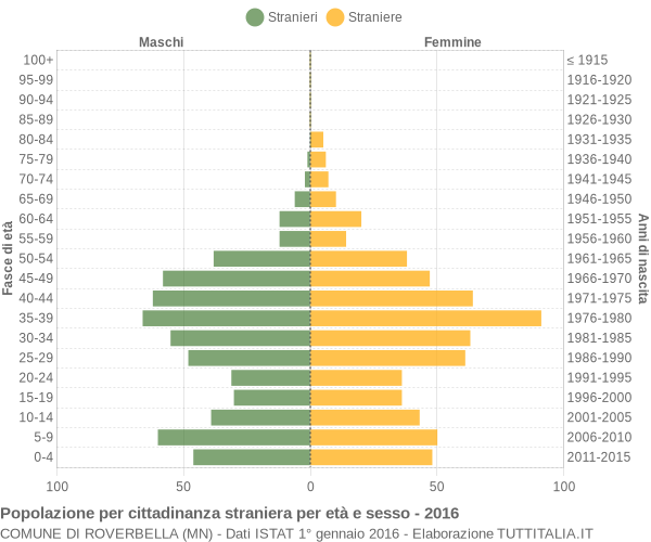 Grafico cittadini stranieri - Roverbella 2016