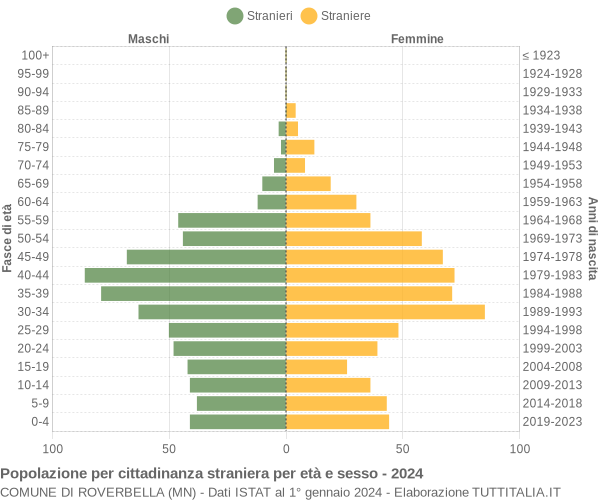 Grafico cittadini stranieri - Roverbella 2024