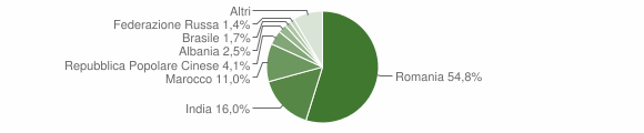 Grafico cittadinanza stranieri - Villimpenta 2013