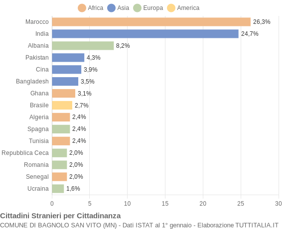 Grafico cittadinanza stranieri - Bagnolo San Vito 2004