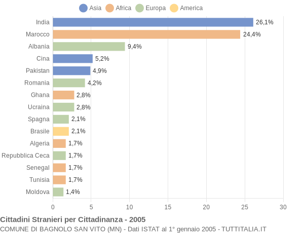 Grafico cittadinanza stranieri - Bagnolo San Vito 2005