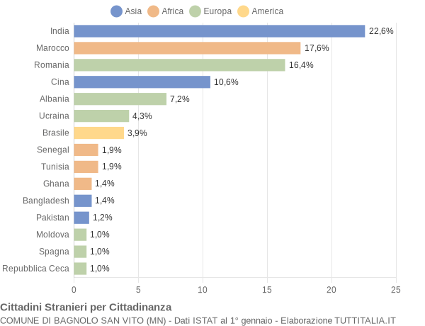 Grafico cittadinanza stranieri - Bagnolo San Vito 2008