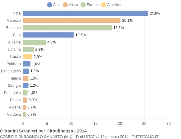 Grafico cittadinanza stranieri - Bagnolo San Vito 2014