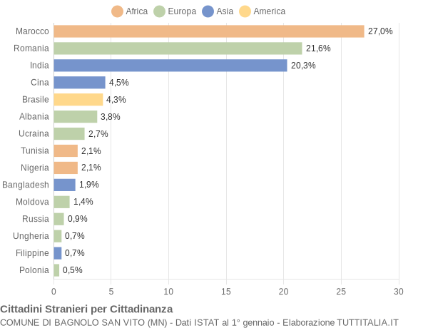 Grafico cittadinanza stranieri - Bagnolo San Vito 2020