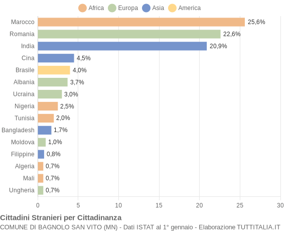 Grafico cittadinanza stranieri - Bagnolo San Vito 2021