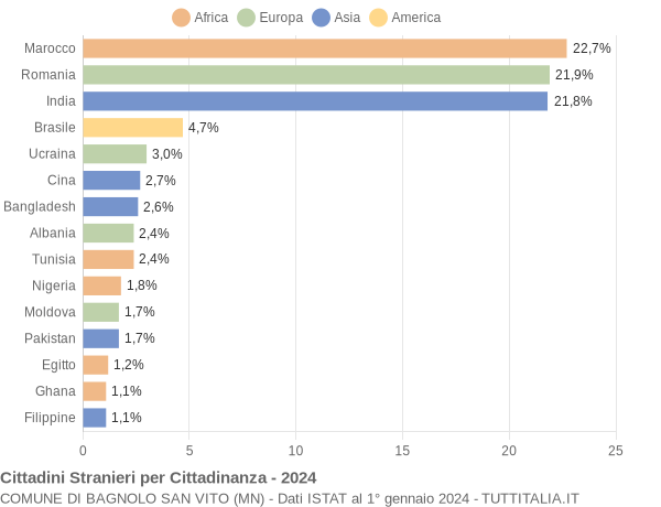 Grafico cittadinanza stranieri - Bagnolo San Vito 2024
