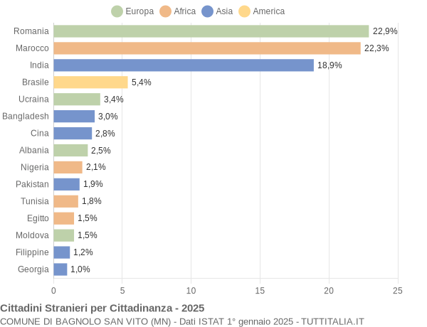 Grafico cittadinanza stranieri - Bagnolo San Vito 2025