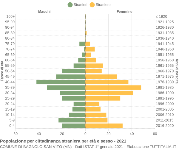 Grafico cittadini stranieri - Bagnolo San Vito 2021