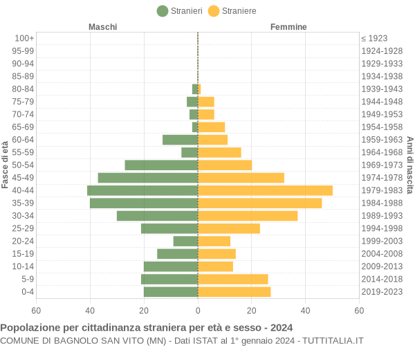 Grafico cittadini stranieri - Bagnolo San Vito 2024