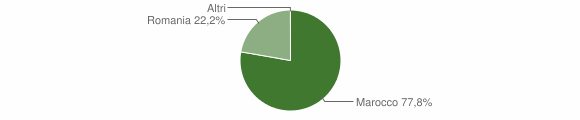 Grafico cittadinanza stranieri - Branzi 2011