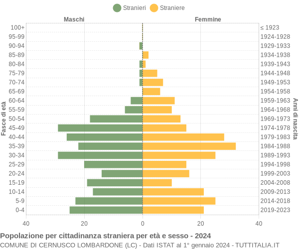 Grafico cittadini stranieri - Cernusco Lombardone 2024