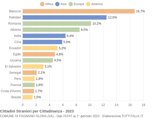 Grafico cittadinanza stranieri - Fagnano Olona 2023